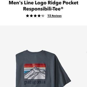 NWT Mens Patagonia Tee, size Large